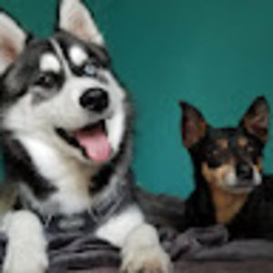 Meet your Posher, Marlene